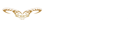 TORY MEDİA